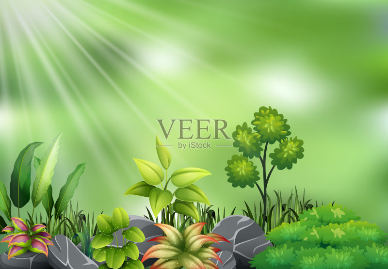 植物对阳光的看法正版插画素材