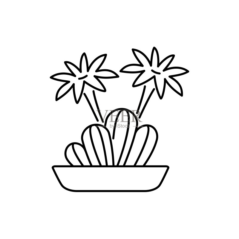 盛开的Echinopsis仙人掌矢量插画图标素材