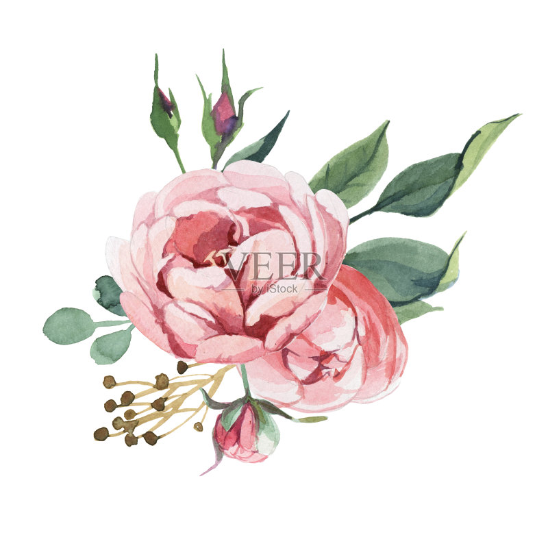 花束牡丹和花孤立在白色背景。花元素的婚礼和邀请卡,为情人节卡和打印正版插画素材