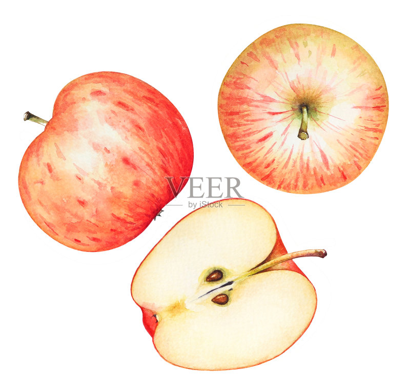 水彩画成熟的苹果在白色的背景正版插画素材