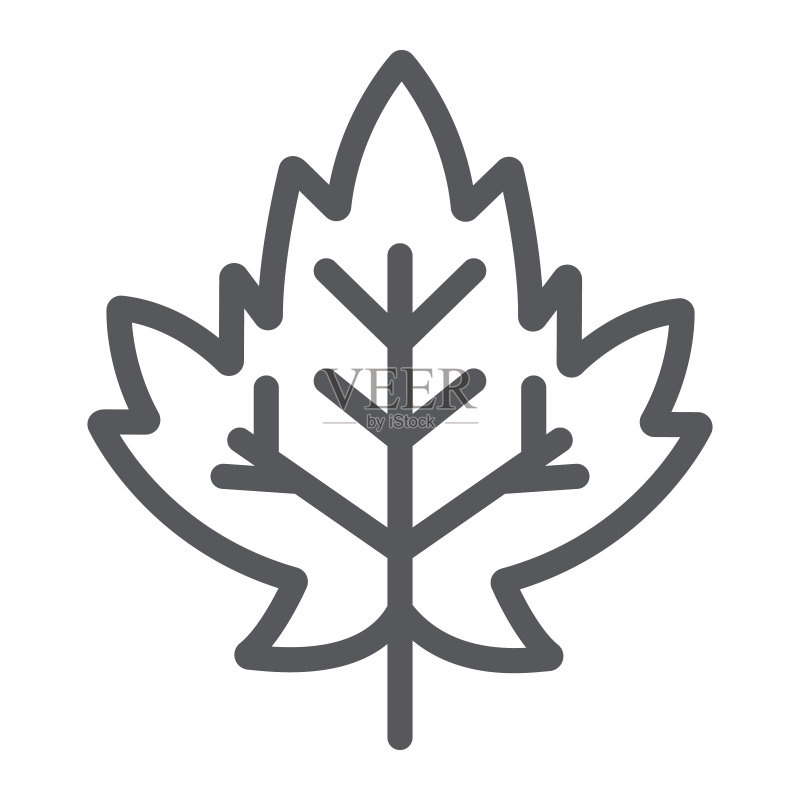 枫叶线条图标:树叶与自然,秋叶标志,矢量图形,白色背景上的线性图案图标素材