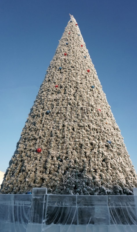 圣诞树在冬季垂直架正版图片素材