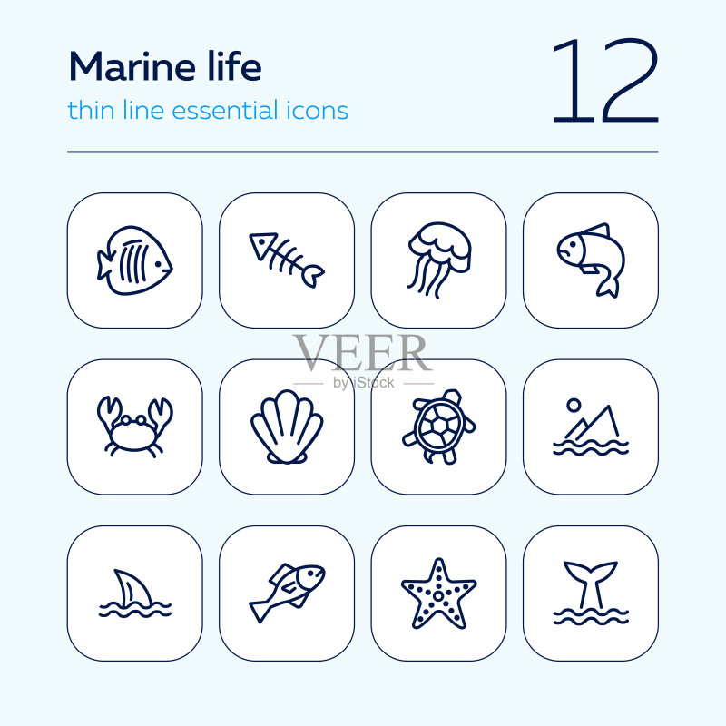海洋生物图标图标素材