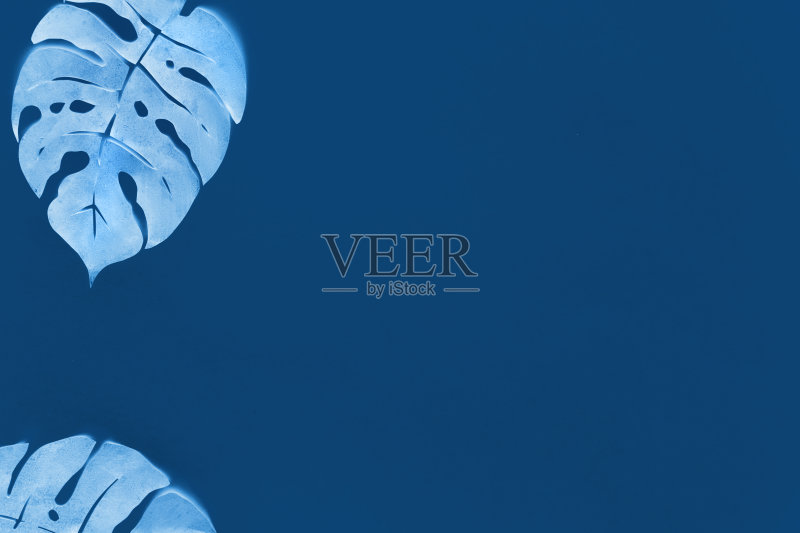 黑白蓝色调图像与复制空间。花的背景,平铺热带植物的叶子,用纸做的,在深蓝色的纸。简约现代的背景。正版图片素材