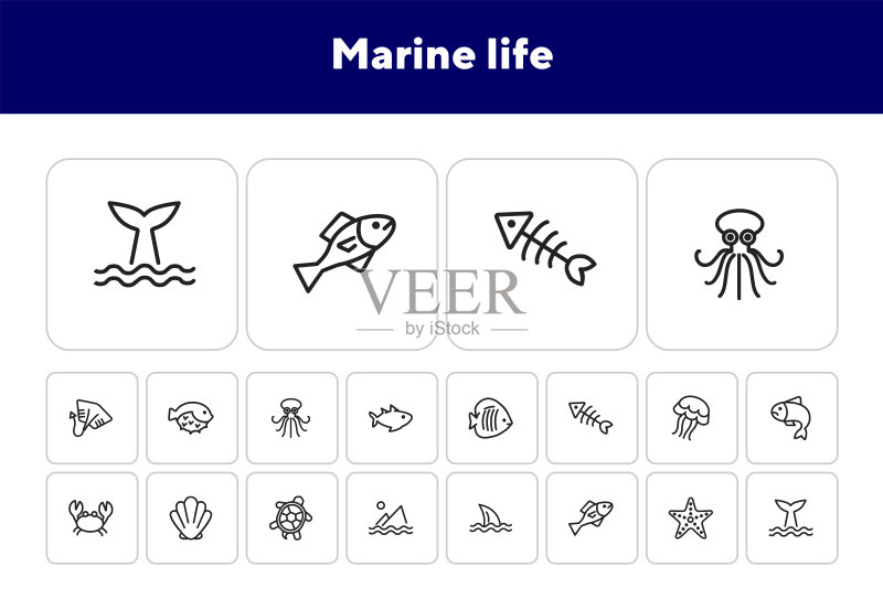 海洋生物图标图标素材