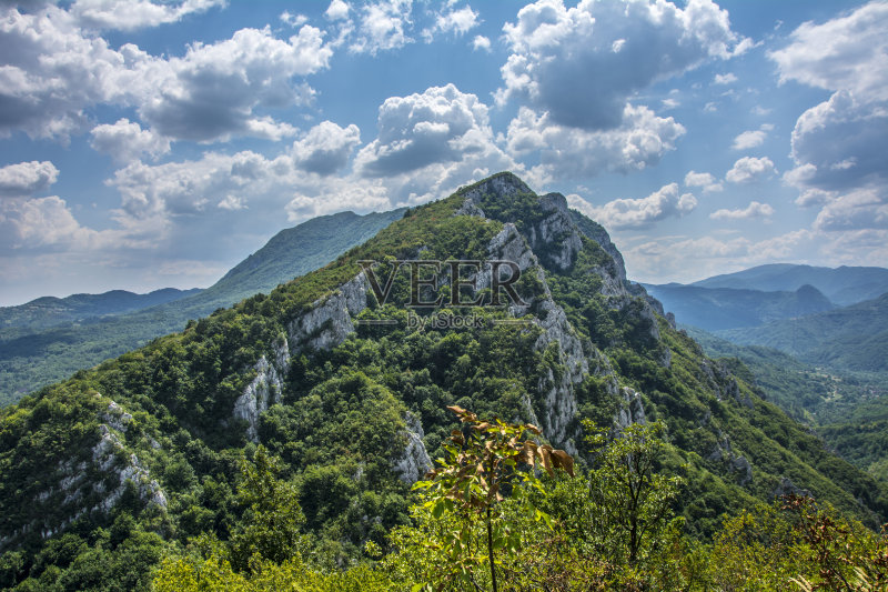 森林与山峰正版图片素材