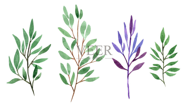 手绘水彩插图。对象的孤立。贺卡、请柬设计元素正版插画素材