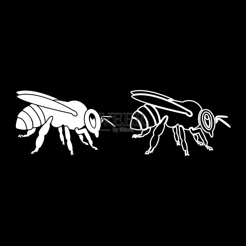 蜜蜂图标集扁平风格插画图标素材