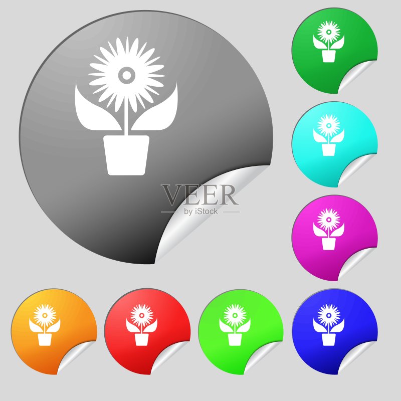 盆栽花卉图标图标素材