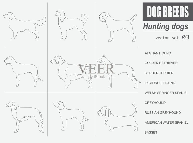 猎犬品种图标扁平风格合集图标素材