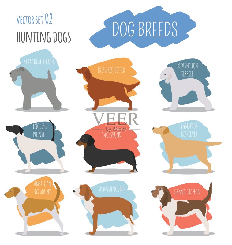 猎犬品种图标扁平风格合集图标素材
