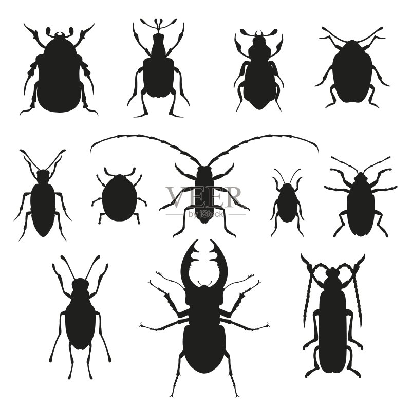 彩色昆虫生物学合集图标素材