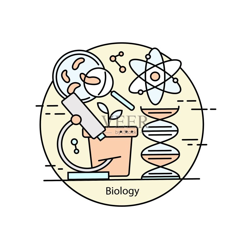 现代彩色生物学细线概念图标素材