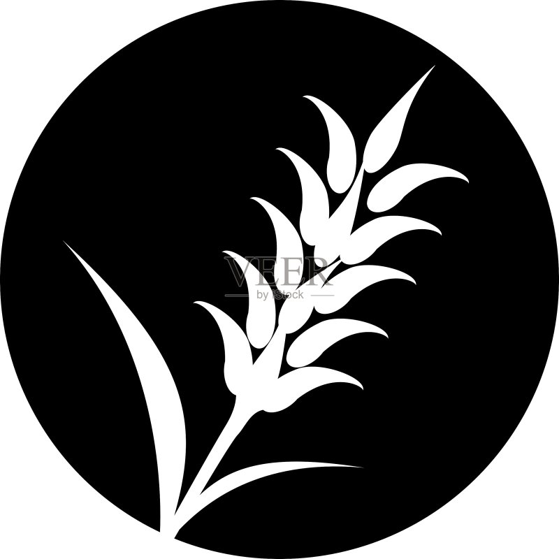 小麦、大麦或黑麦视觉图形图标图标素材