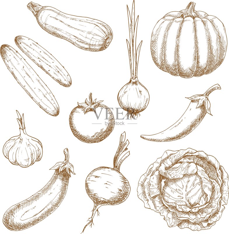 新鲜蔬菜素描合集图标素材