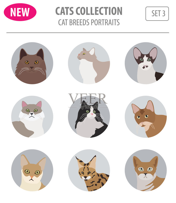 猫品种图标扁平风格白色背景图标素材