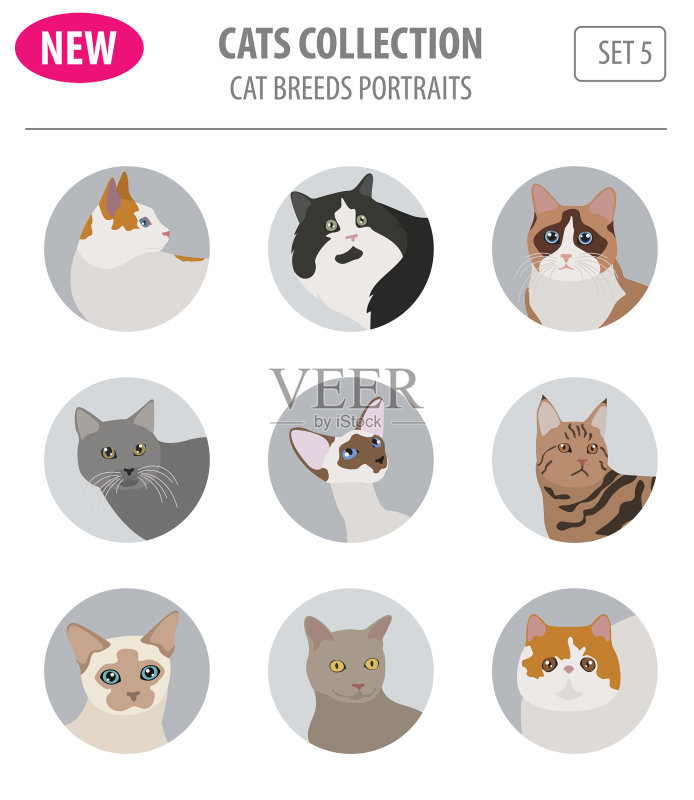 猫品种图标扁平风格白色背景图标素材