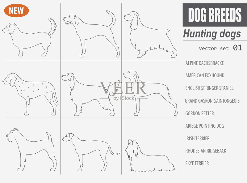 猎犬品种图标,白色背景图标素材