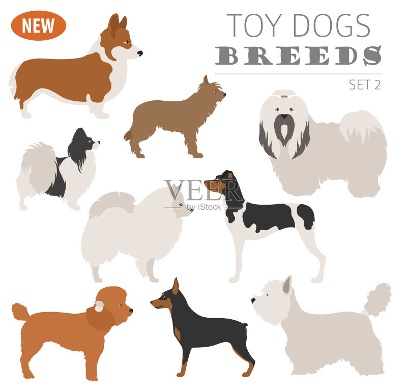 迷你玩具犬品种图标合集图标素材