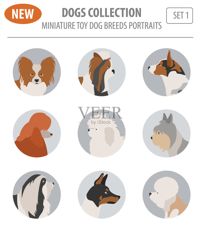 迷你玩具犬品种图标合集图标素材