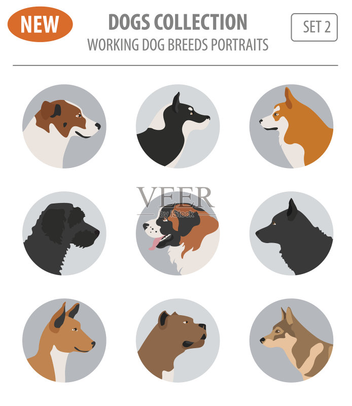 工作犬品种图标合集图标素材