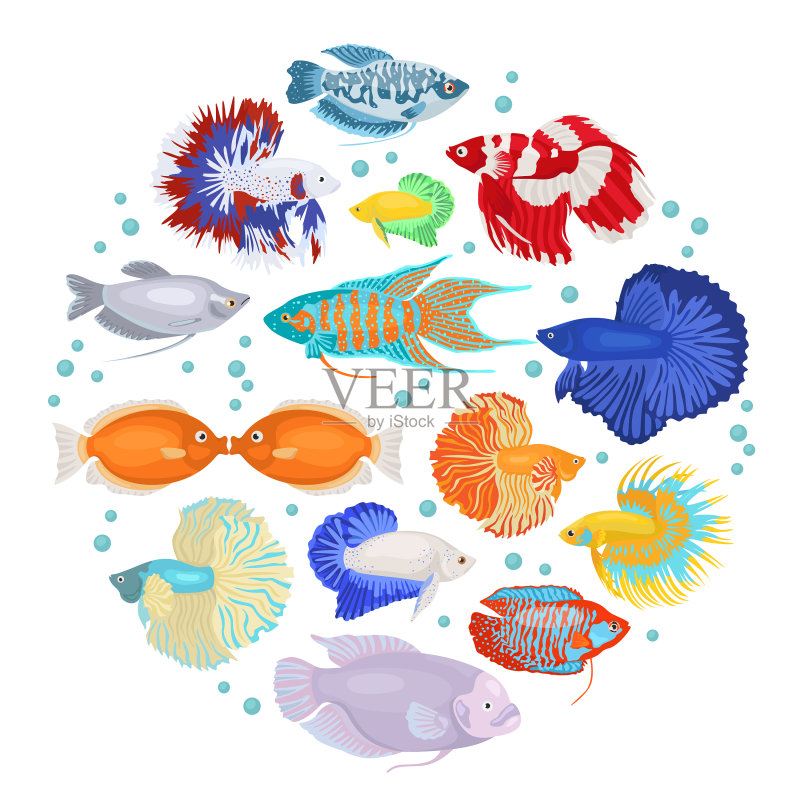 淡水水族箱鱼类品种扁平图标集图标素材