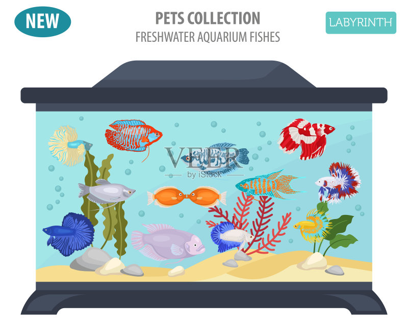 淡水水族箱鱼类品种扁平图标集图标素材