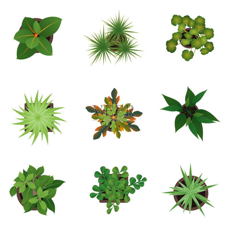 逼真的3D俯视绿色植物套装图标素材