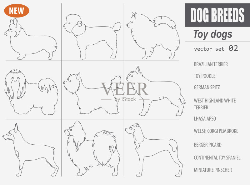 迷你玩具犬品种图标合集图标素材