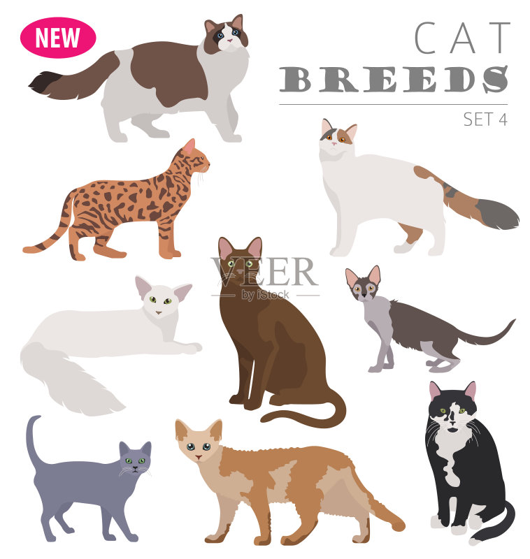 猫品种图标扁平风格白色背景图标素材