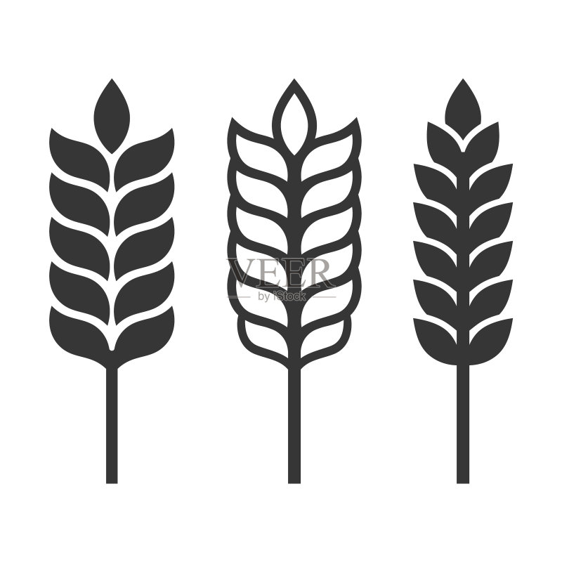 白色背景上的麦穗图标集图标素材