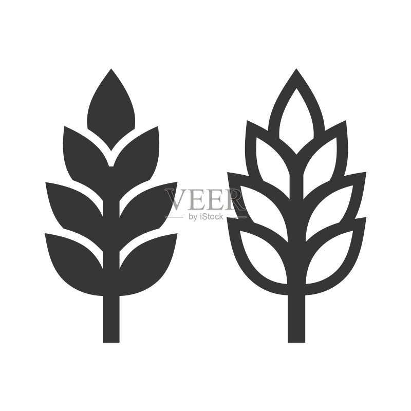 白色背景上的麦穗图标集图标素材
