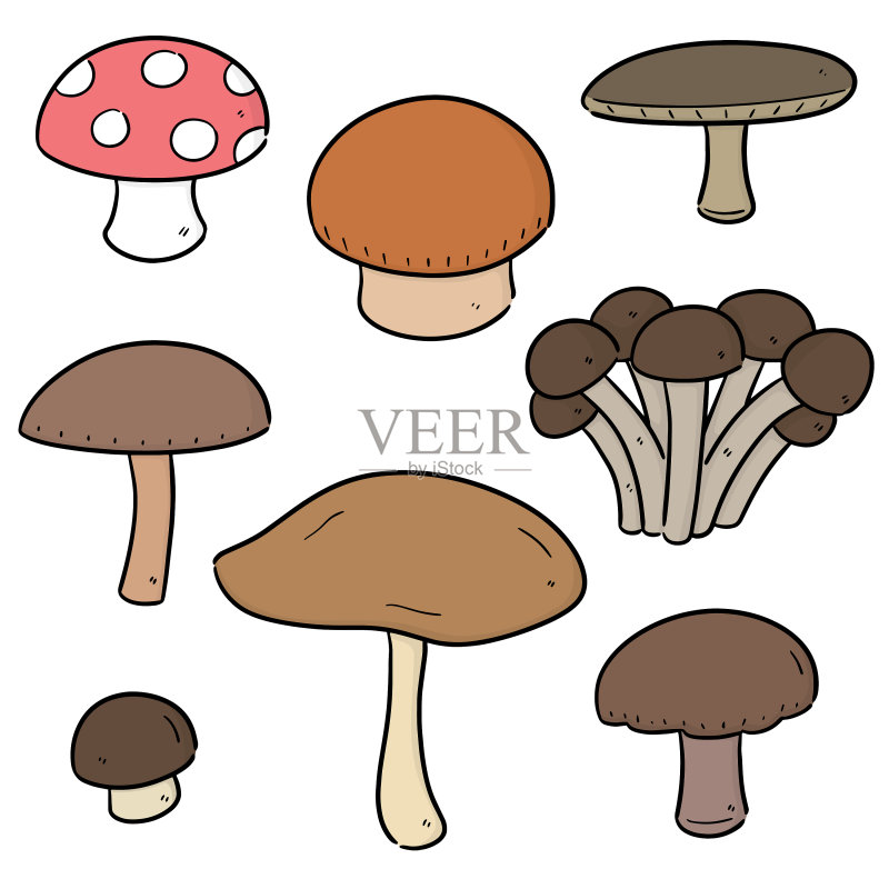 蘑菇素材图标素材