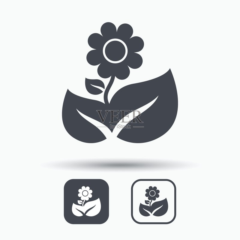 花朵图标:带叶植物标志图标素材