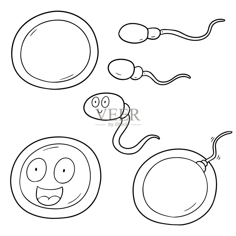 精子和卵子素材图标素材