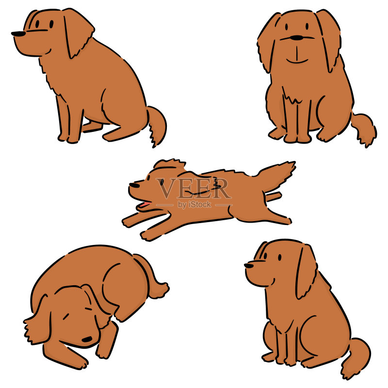 金毛寻回犬图标素材