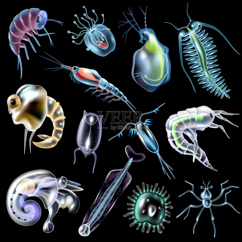 黑色背景上的浮游生物集合图标素材
