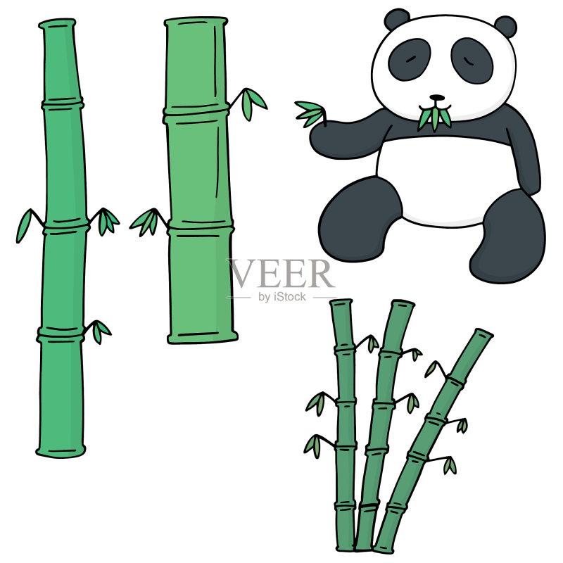 竹子和熊猫集合图标素材