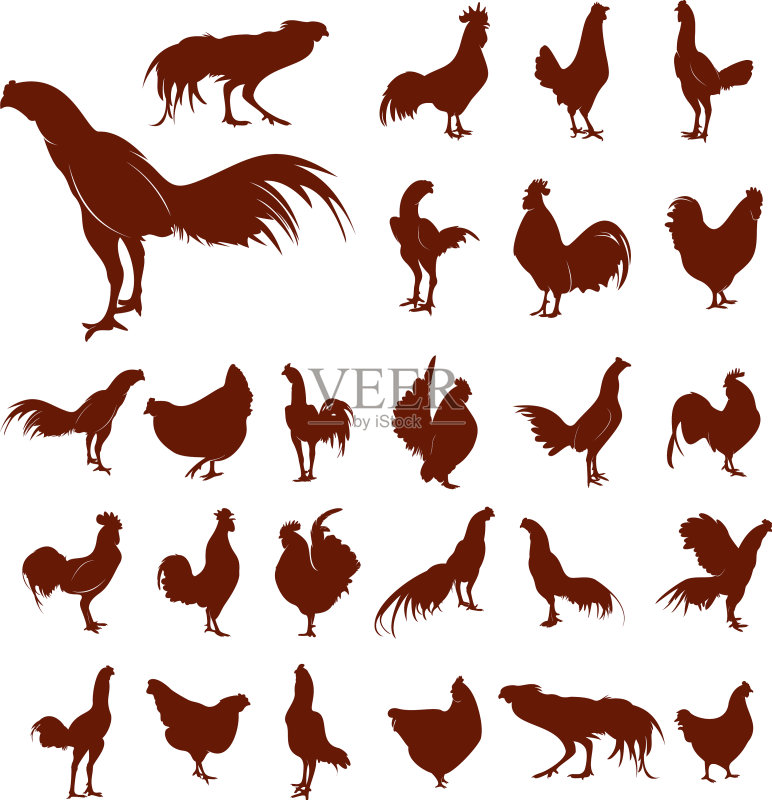 鸡肉Logo图标合集图标素材