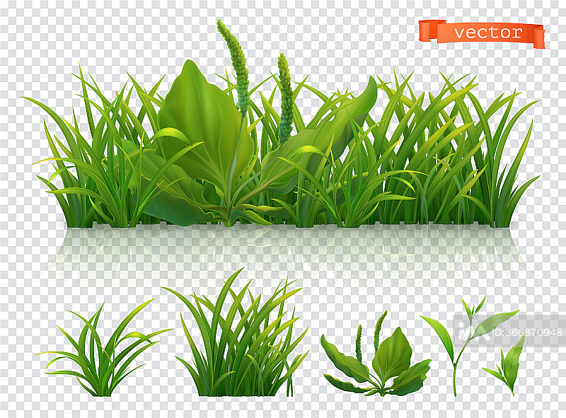 春天绿色草地3D逼真图标集图标素材