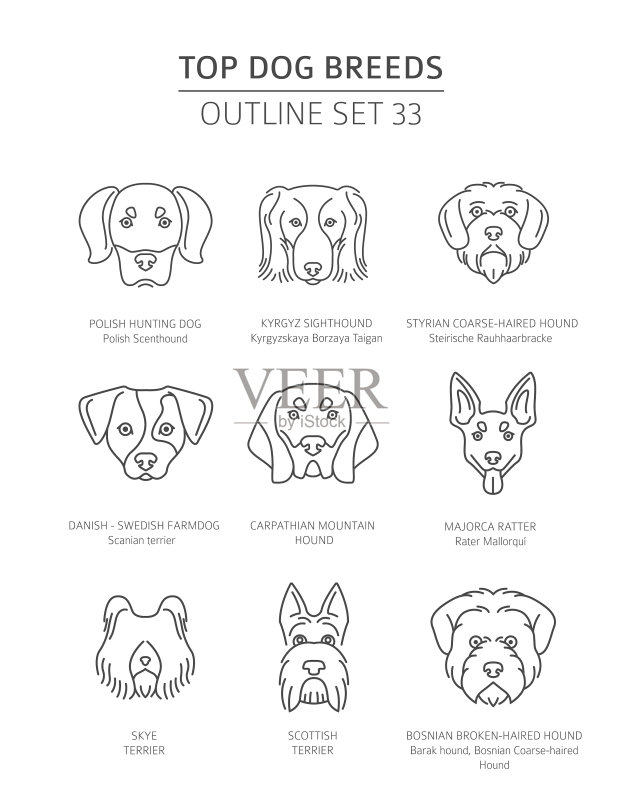 热门犬种猎犬宠物轮廓图标素材