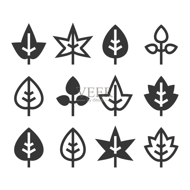白色背景上的叶子图标集图标素材