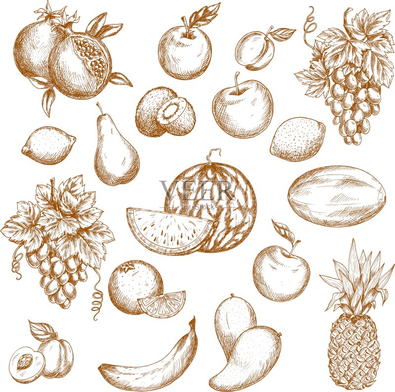 健康食品设计的新鲜水果素描图标素材