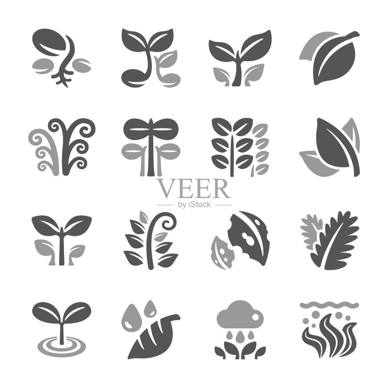 植物和树叶图标集图标素材