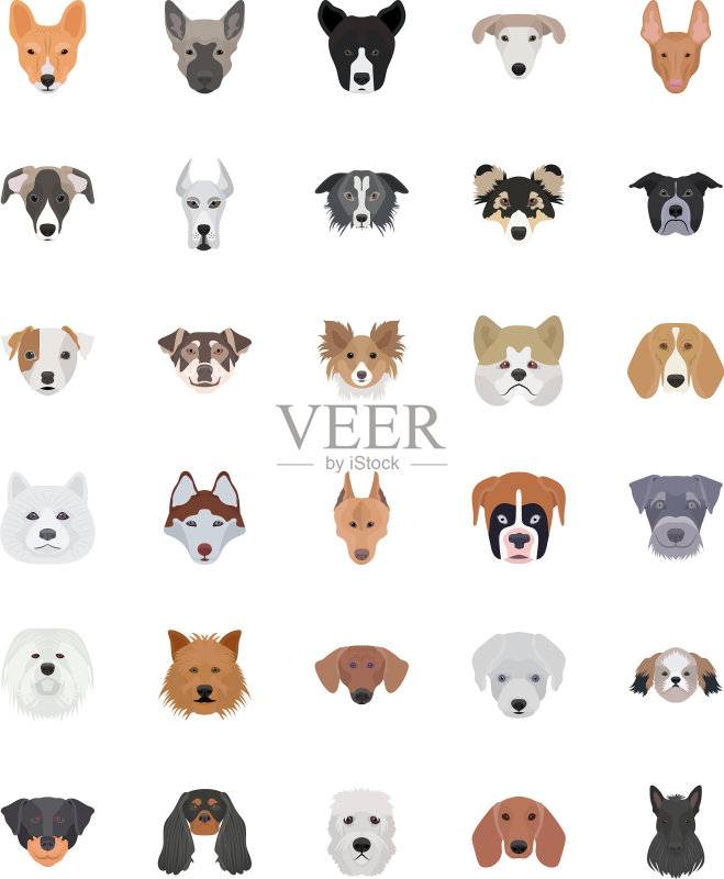 犬类品种扁平图标集图标素材