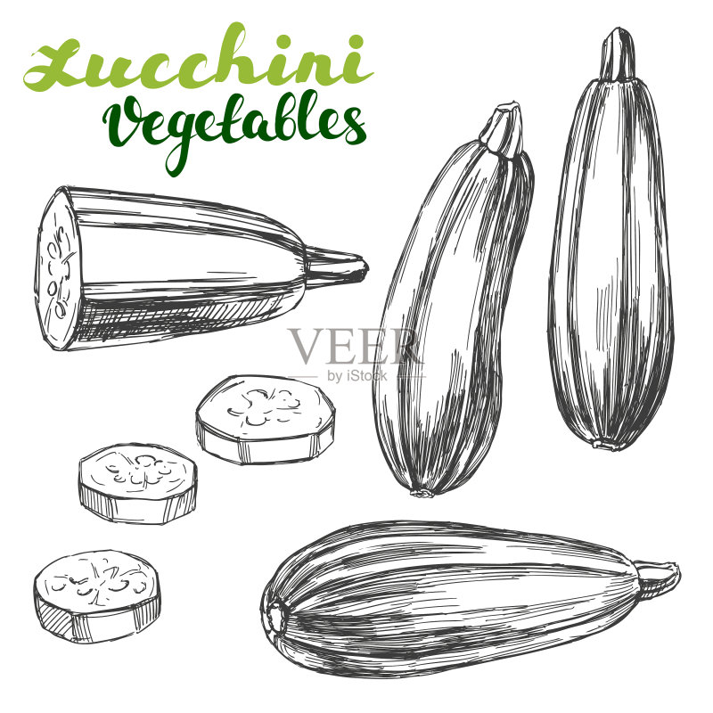 手绘西葫芦蔬菜合集图标素材