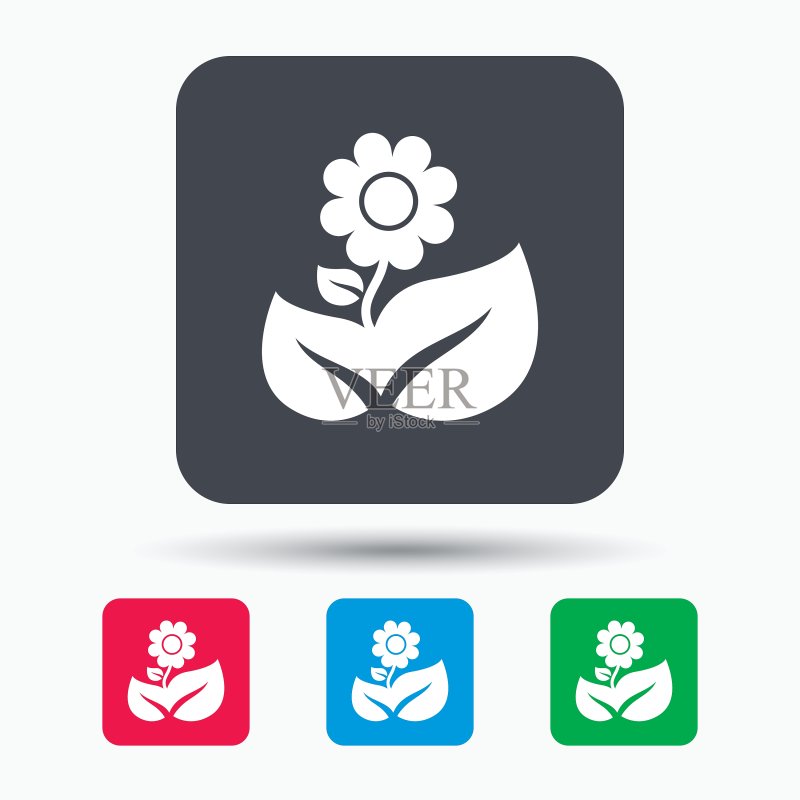 花朵图标:带叶植物标志图标素材