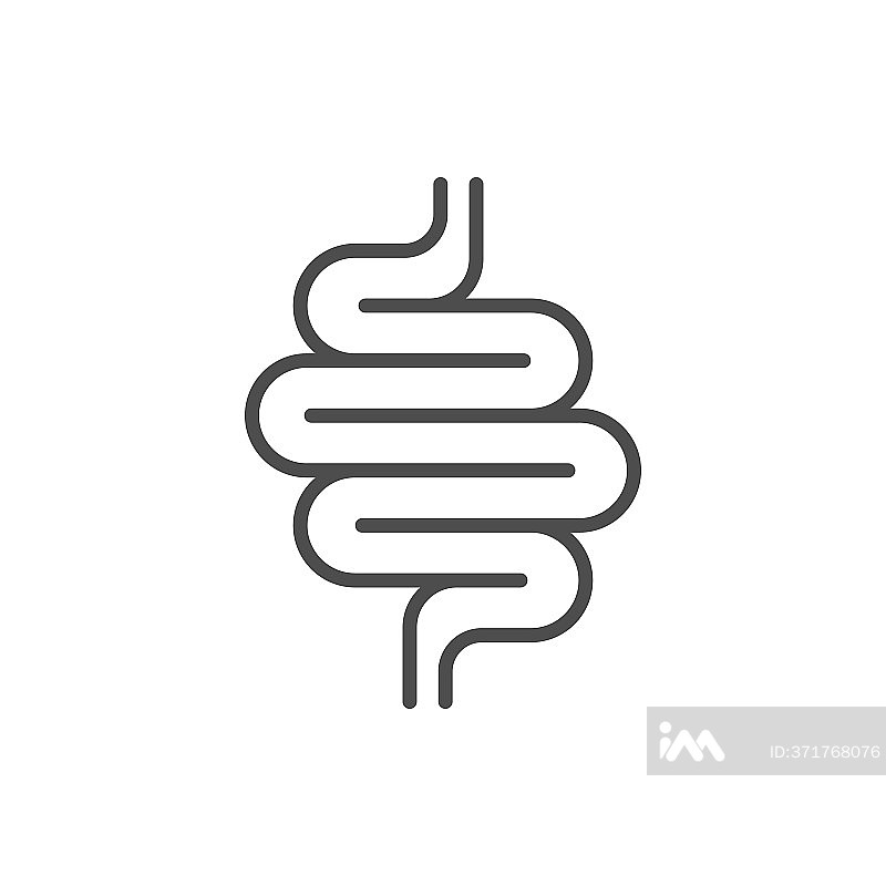 肠道线条图标或消化系统符号图标素材