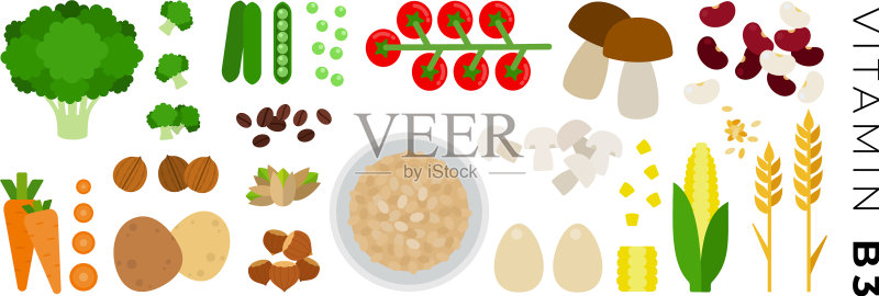 维生素B3食物扁平图标集(白色背景)图标素材
