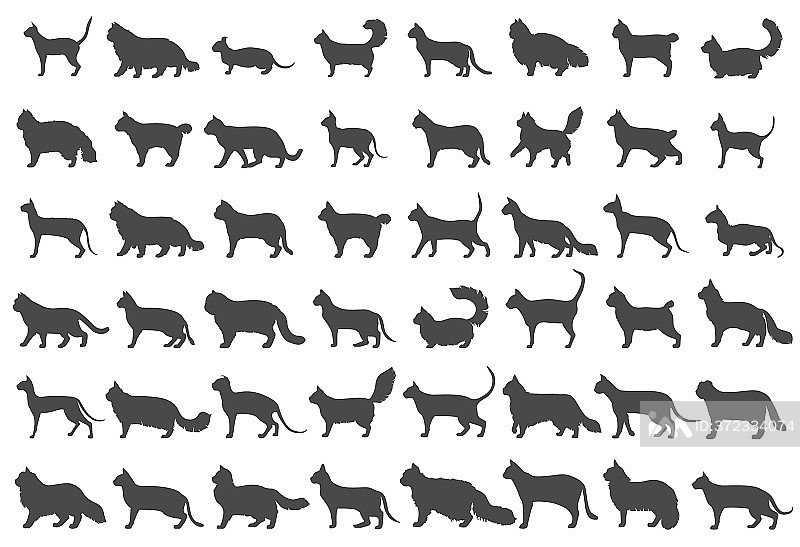 猫品种图标扁平风格白色背景图标素材